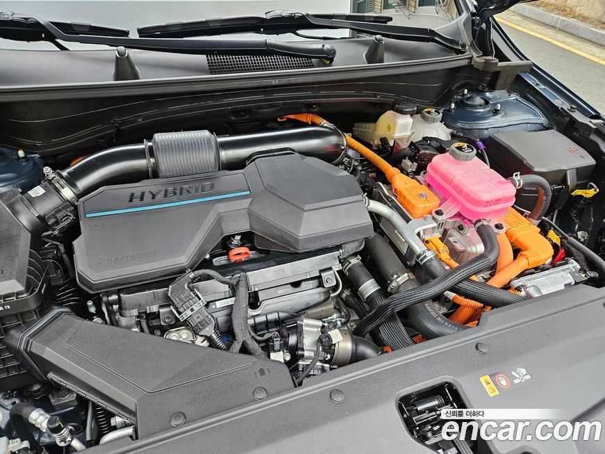 Kia Sportage 2024