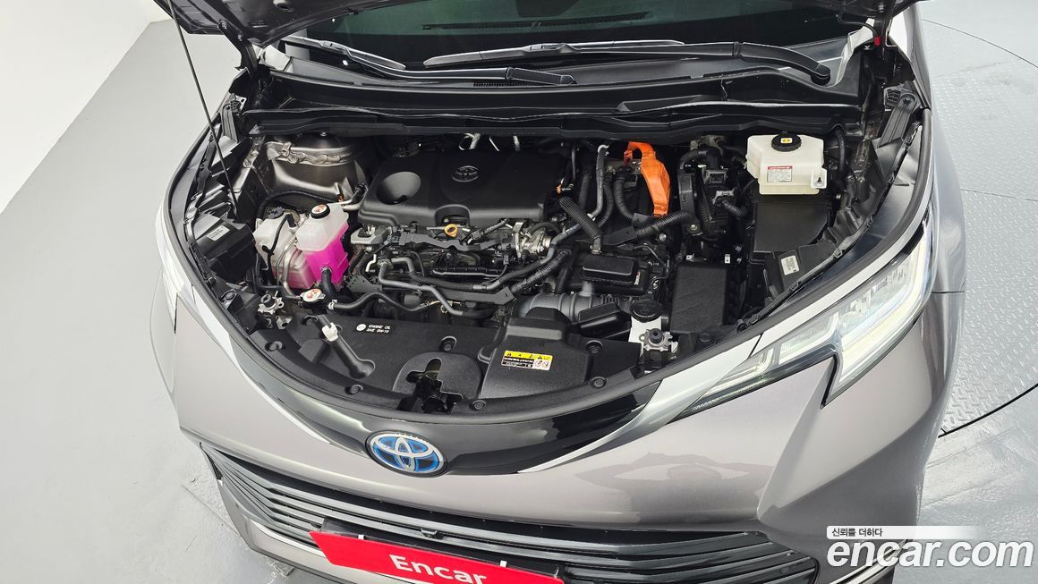 Toyota Sienna 2024