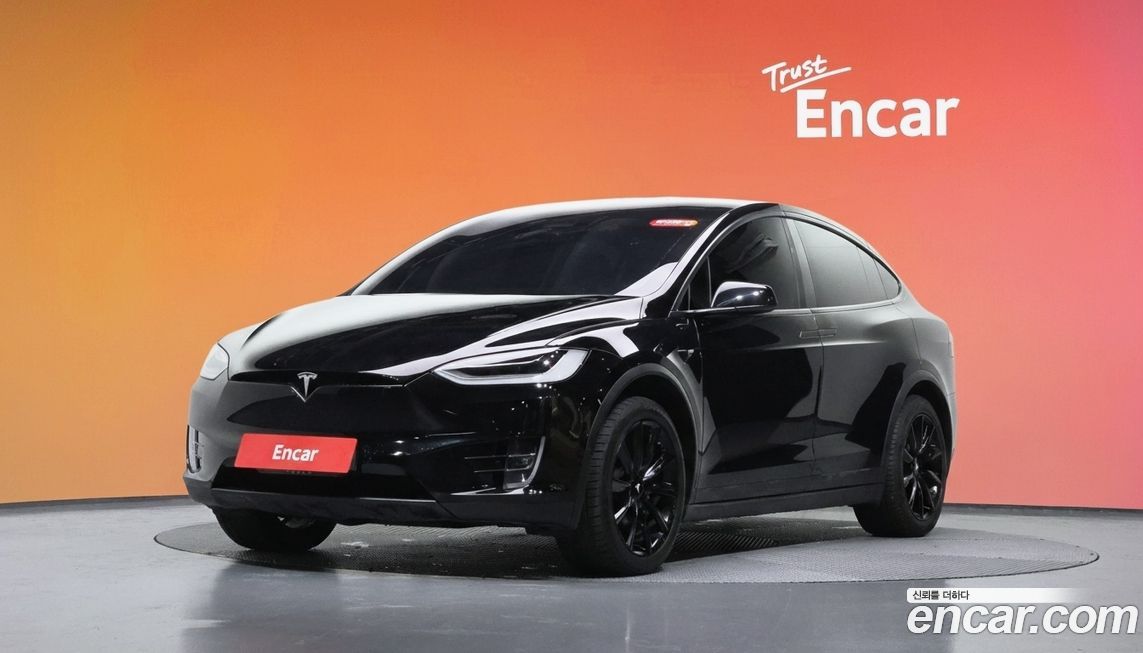 Tesla Model X 2019