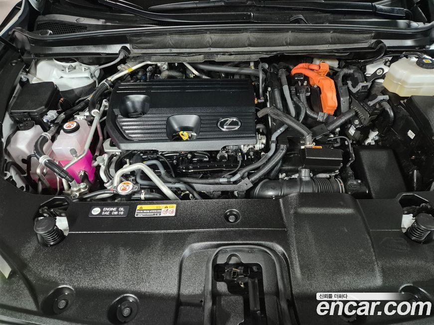 Lexus RX 2024