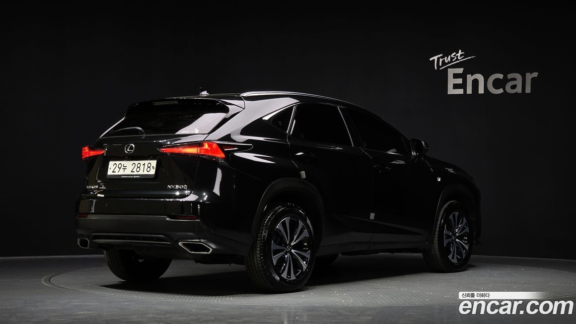 Lexus NX 2019