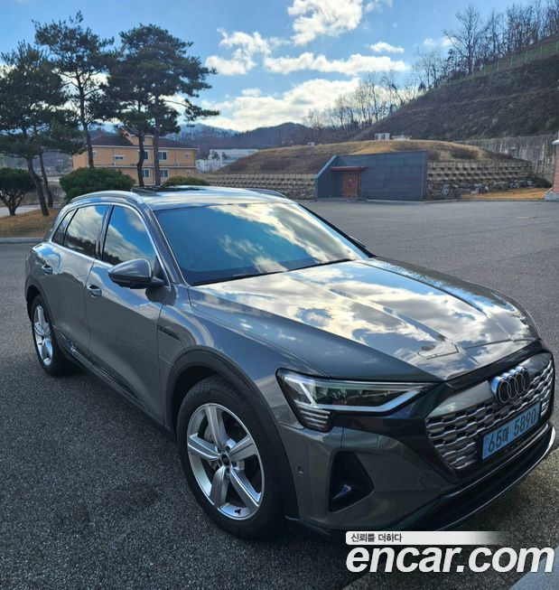 Audi Q8 e-tron 2024