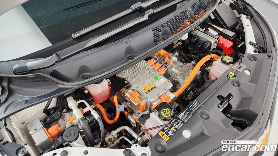 ChevroletGMDaewoo Bolt EV 2019