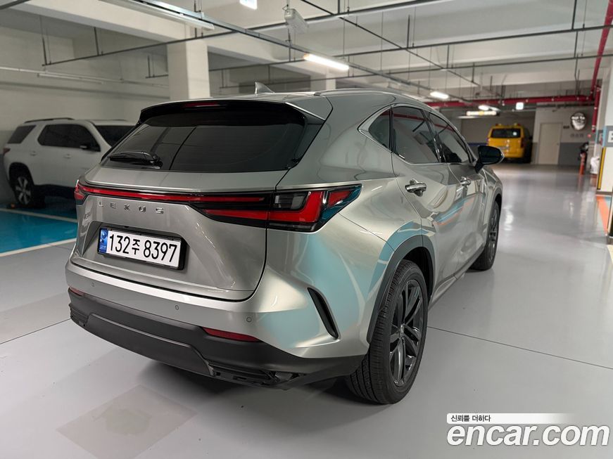 Lexus NX 2025