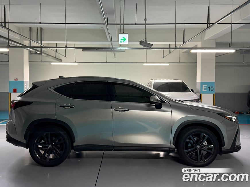 Lexus NX 2025