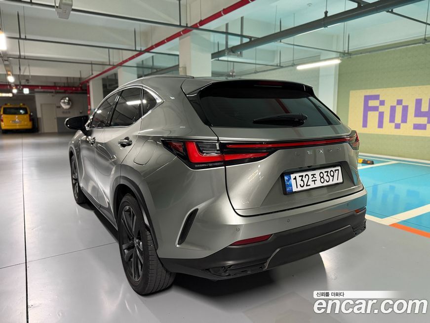 Lexus NX 2025