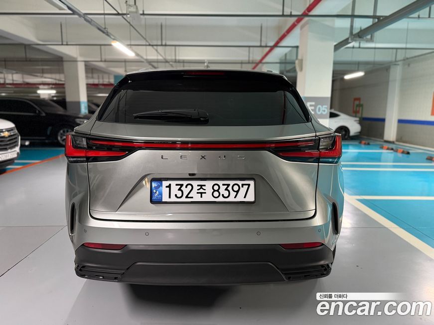 Lexus NX 2025