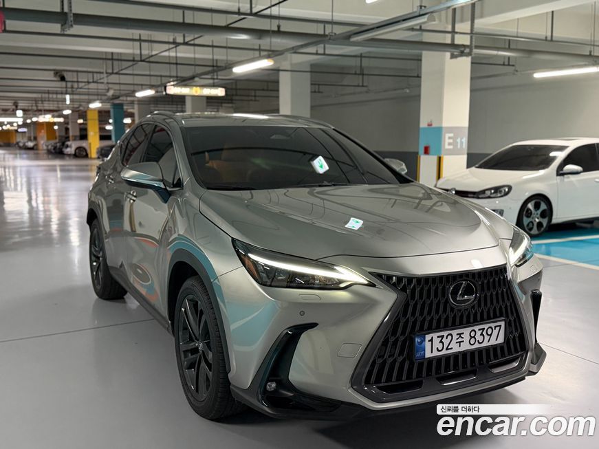Lexus NX 2025