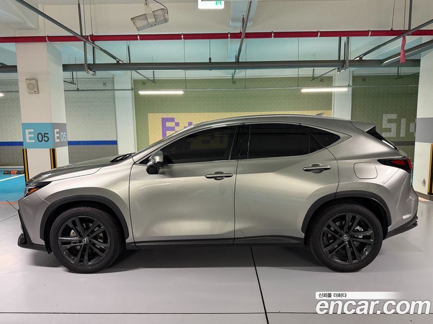 Lexus NX 2025