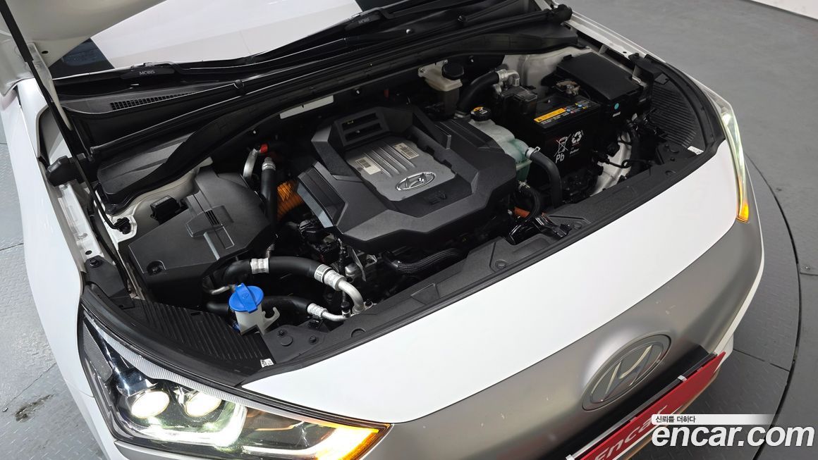 Hyundai Ioniq 2017