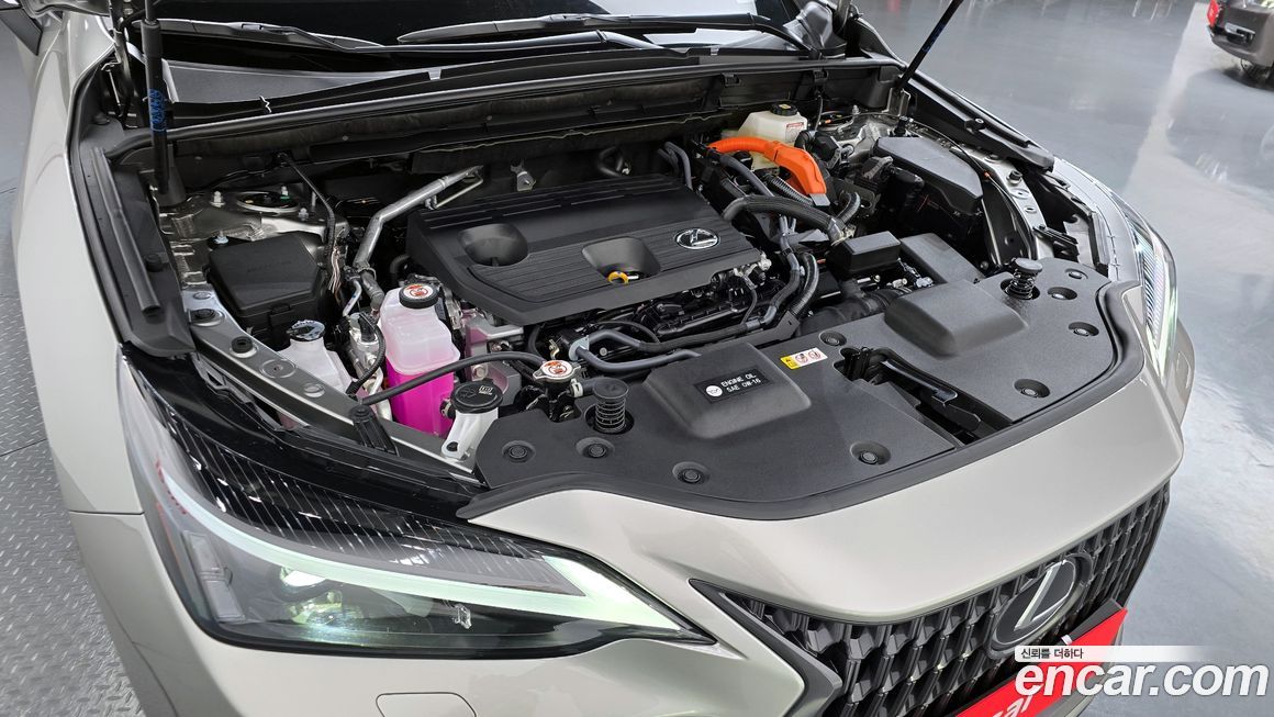 Lexus NX 2025