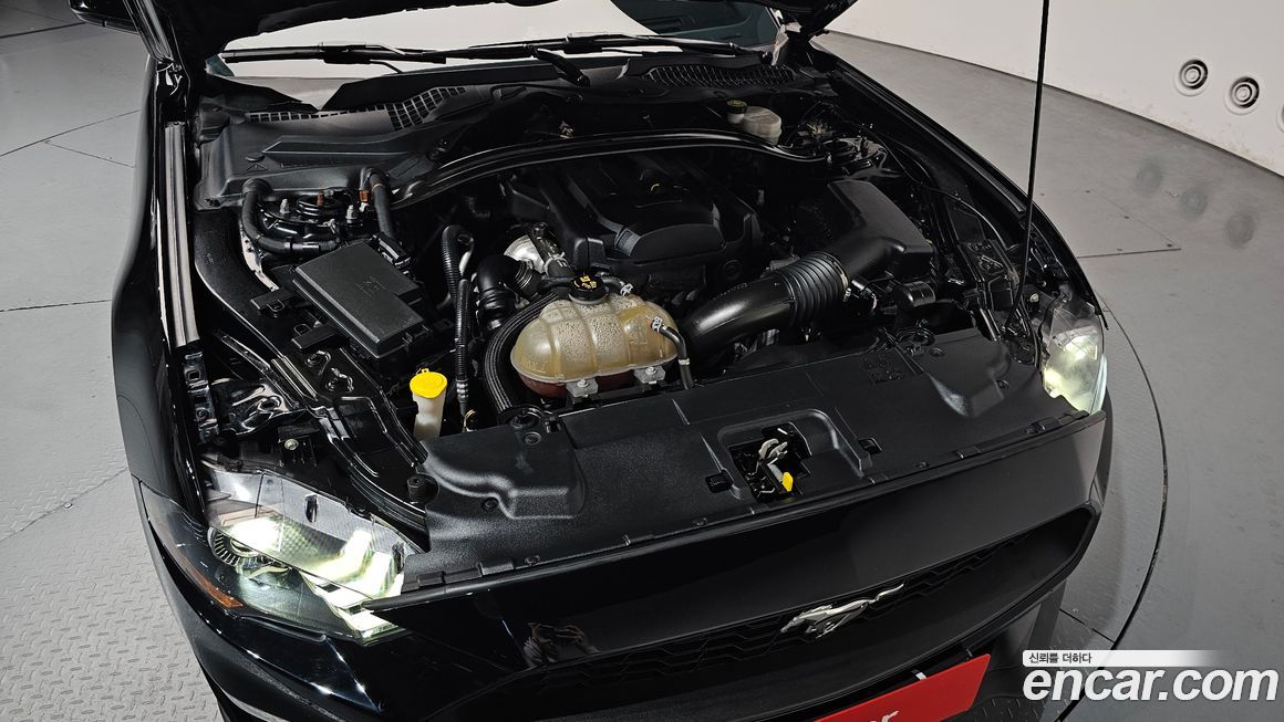 Ford Mustang 2019