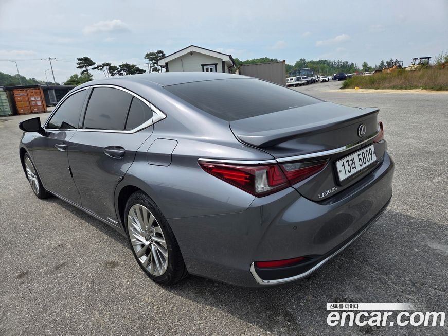 Lexus ES 2019