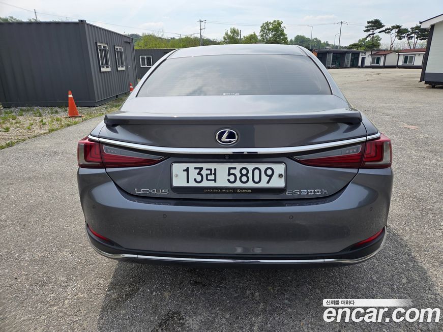 Lexus ES 2019