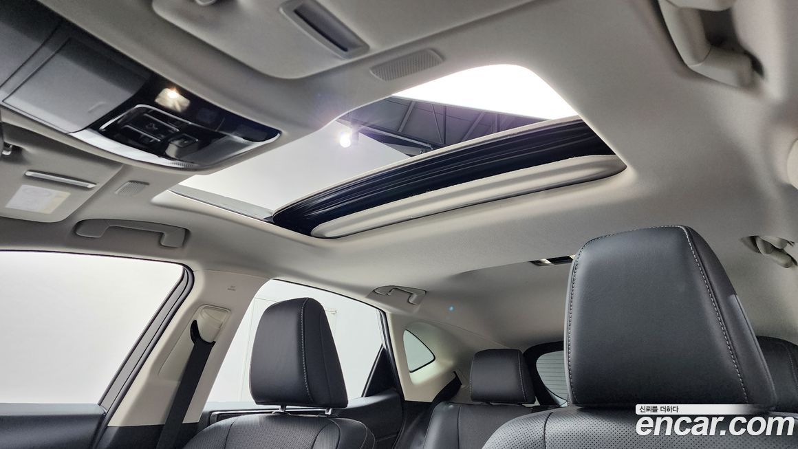 Lexus NX 2023