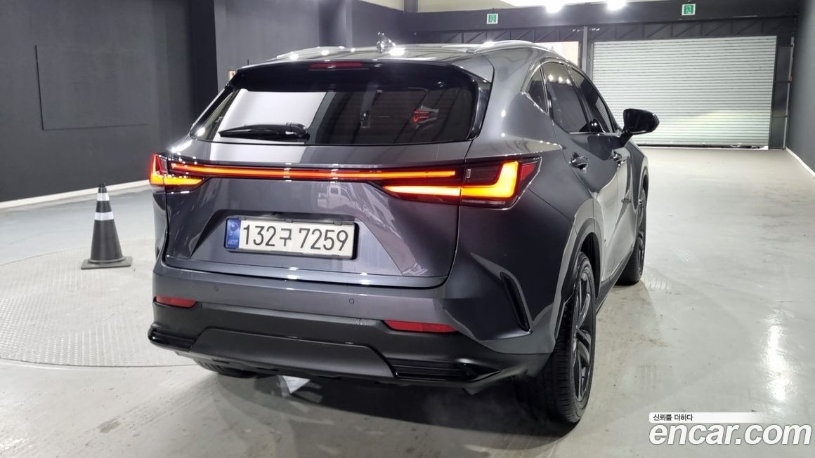 Lexus NX 2024