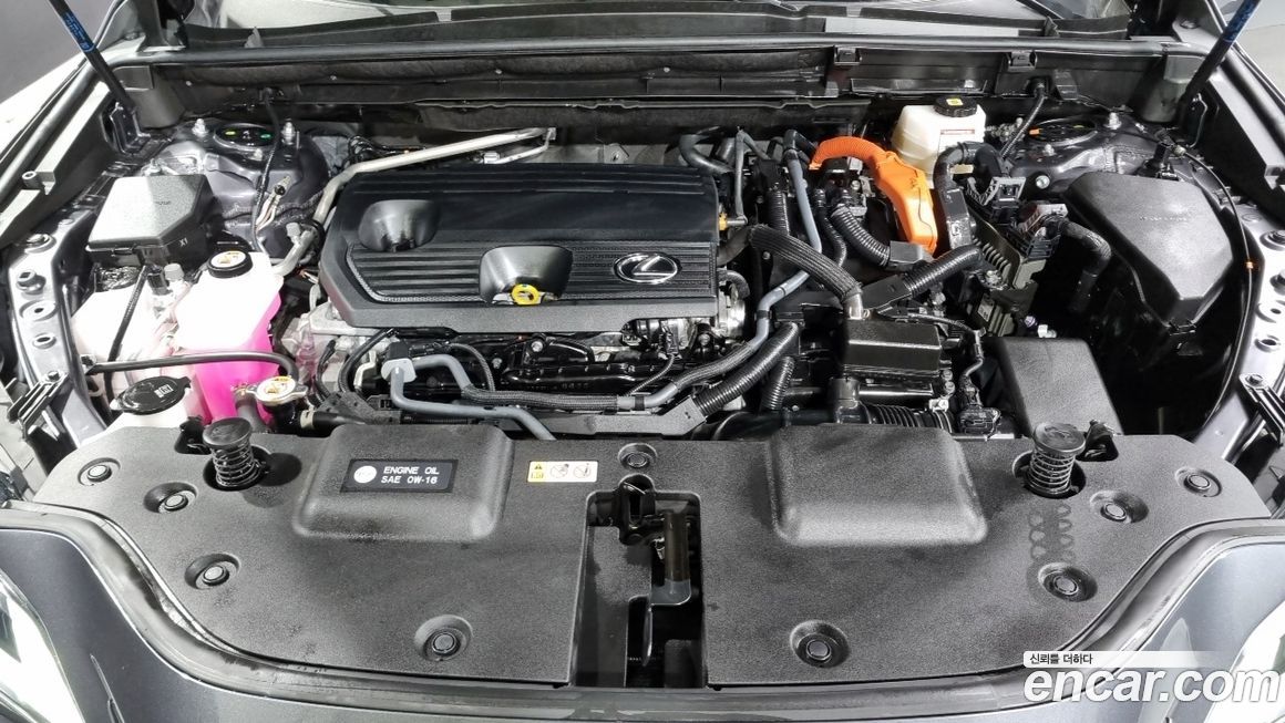 Lexus NX 2024