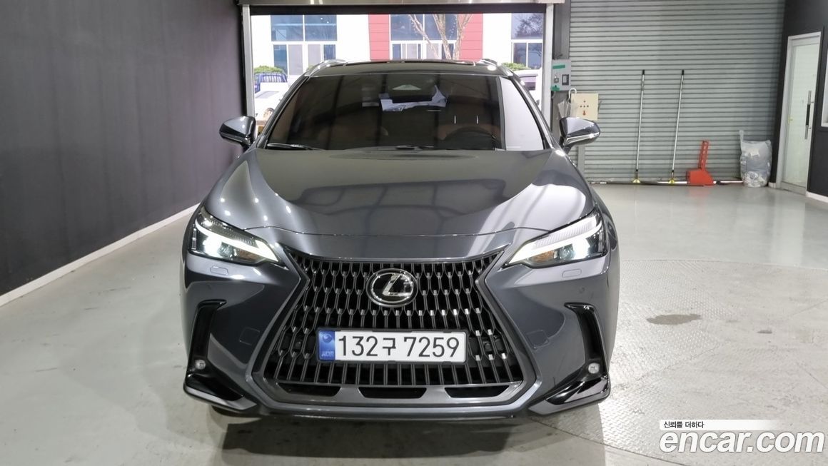 Lexus NX 2024