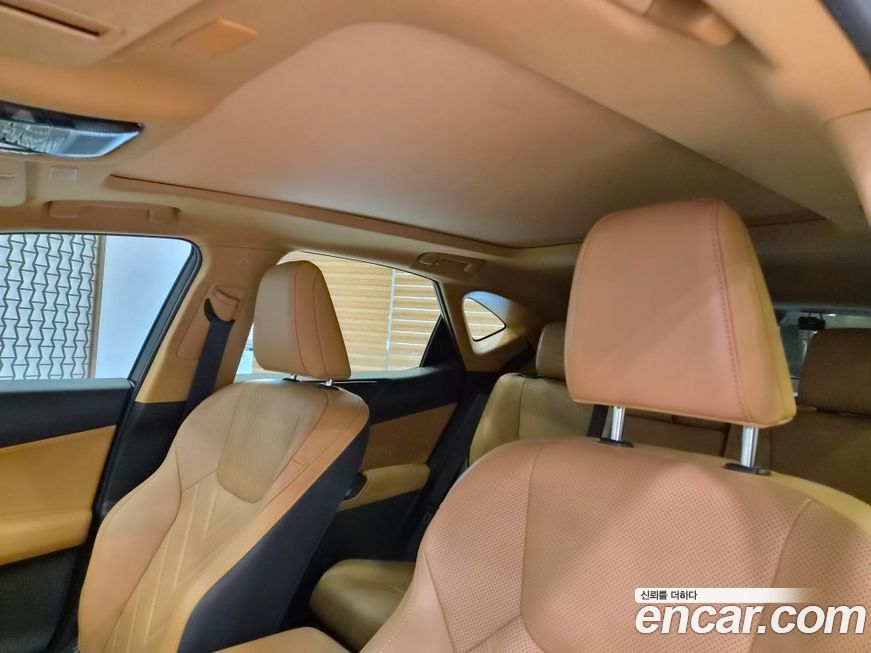 Lexus NX 2024