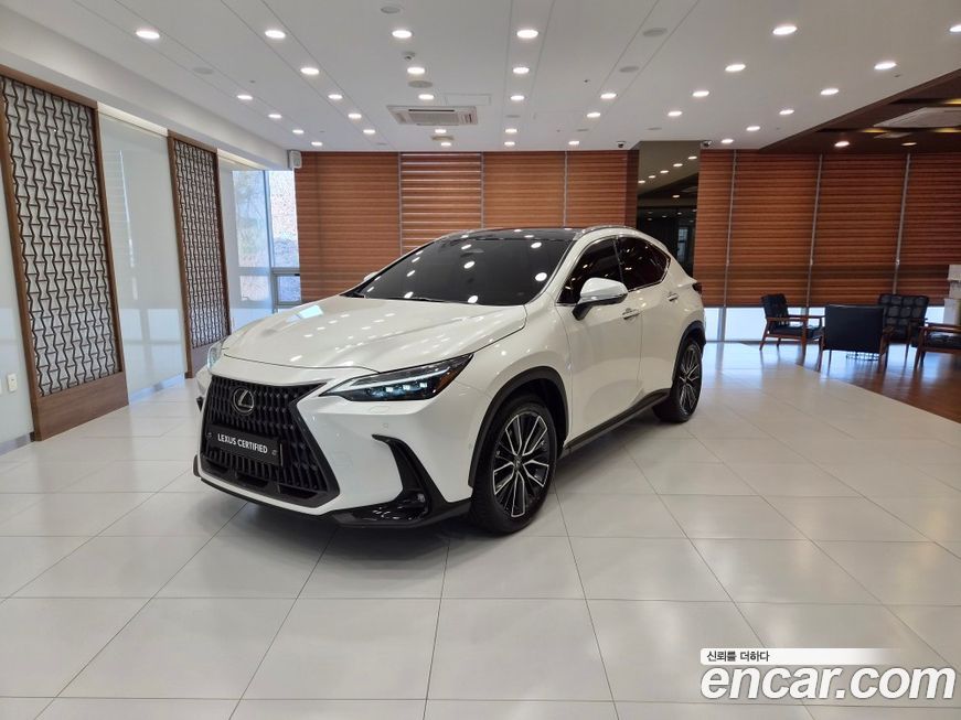 Lexus NX 2024