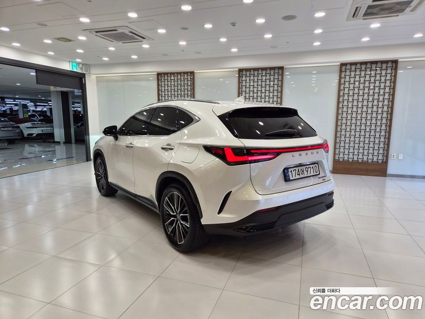 Lexus NX 2024
