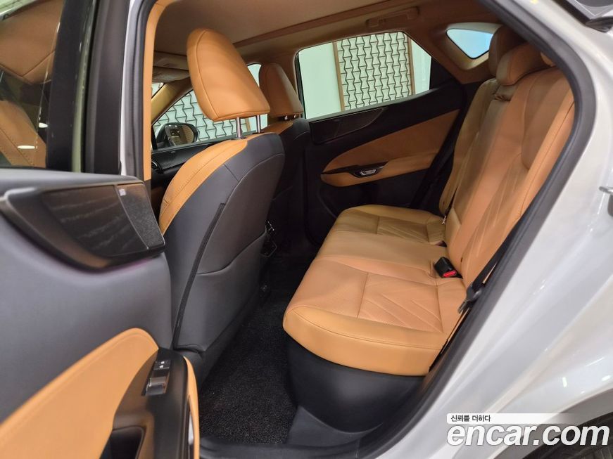 Lexus NX 2024