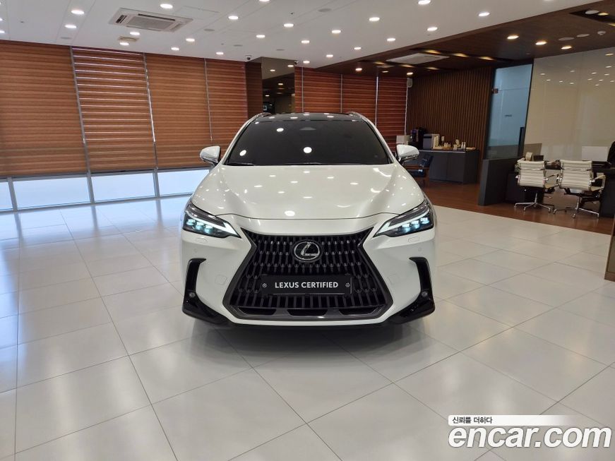 Lexus NX 2024