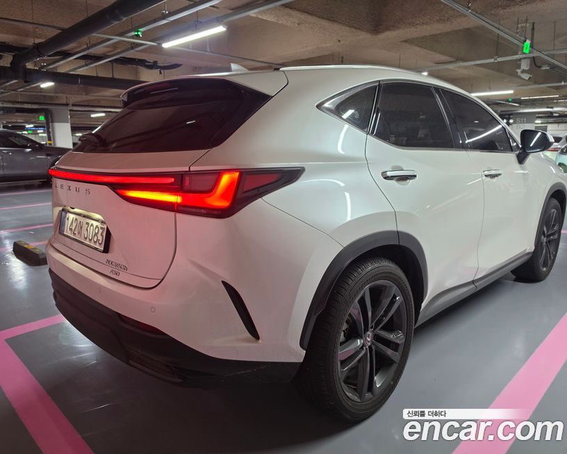 Lexus NX 2025