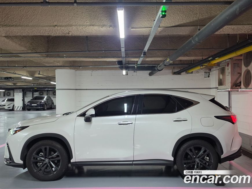 Lexus NX 2025
