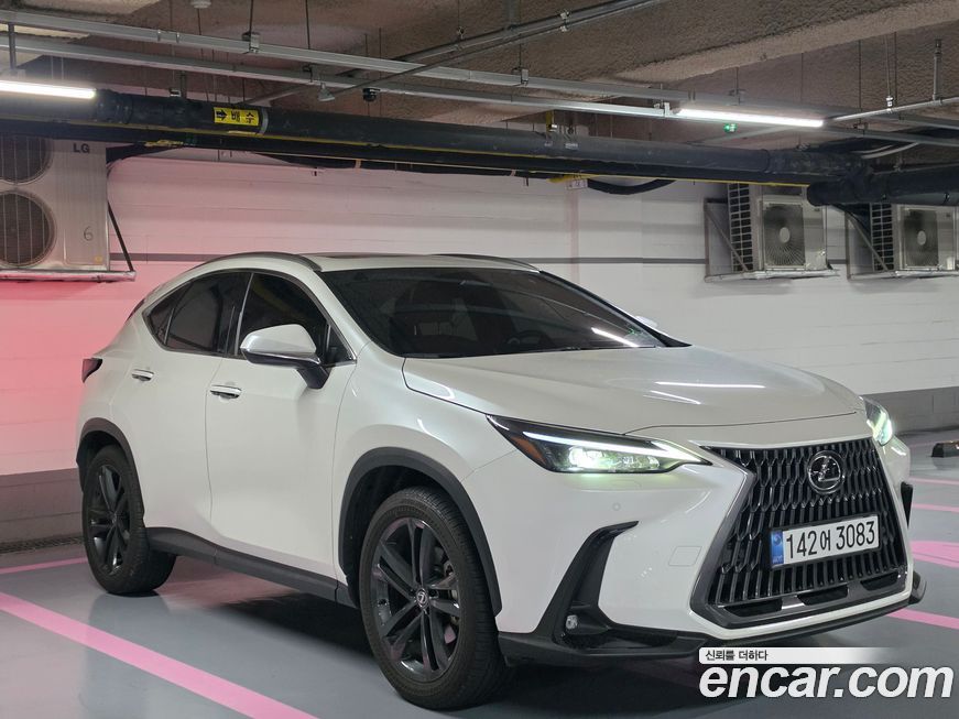 Lexus NX 2025