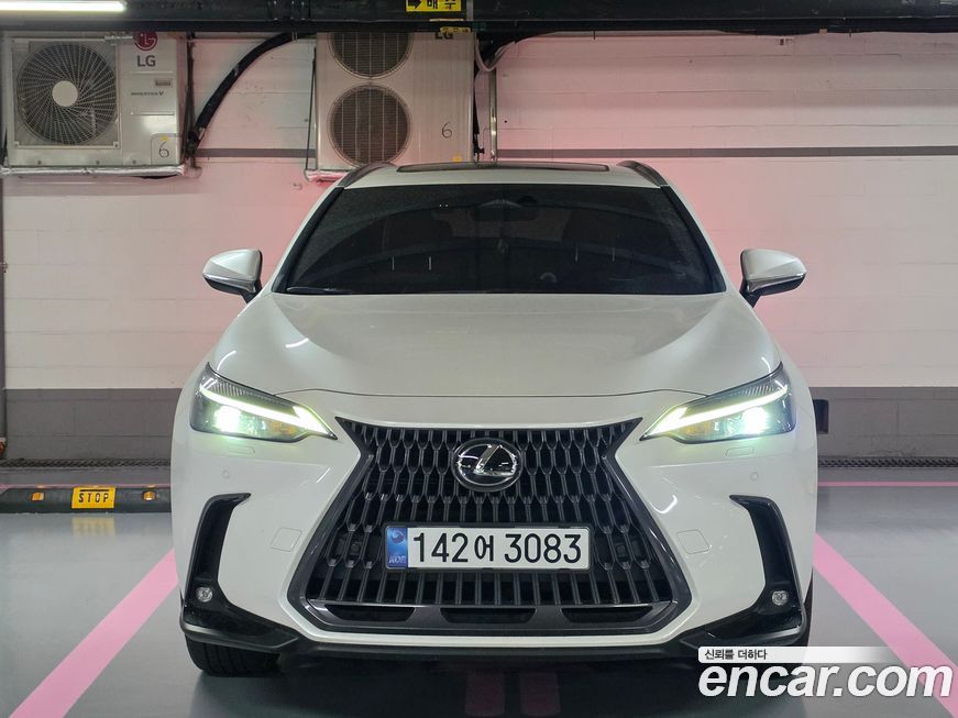 Lexus NX 2025