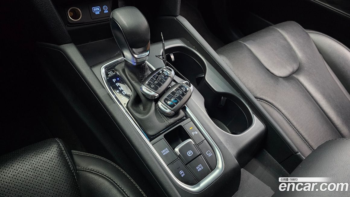 Hyundai Santafe 2020