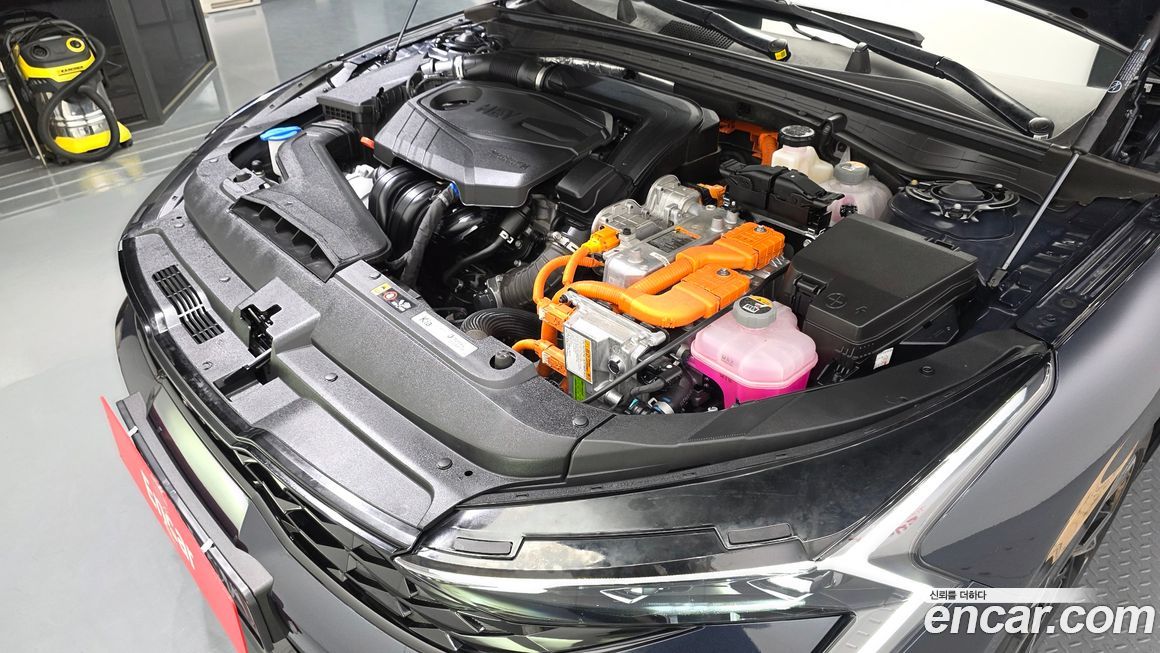 Kia K5 2024