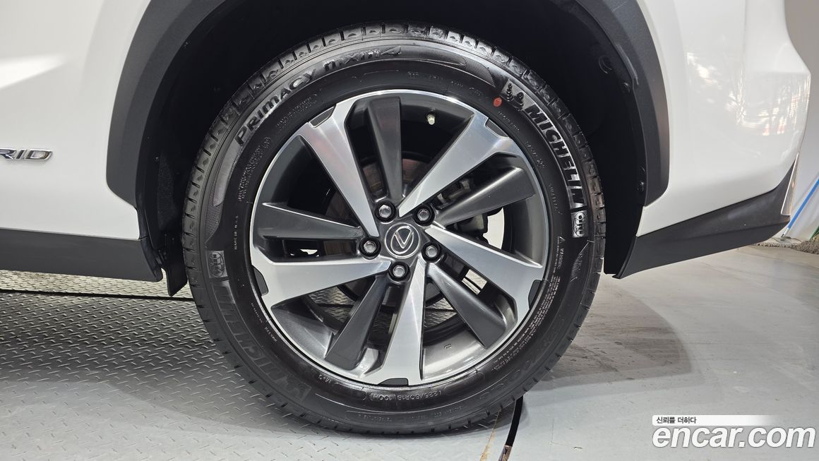 Lexus NX 2019
