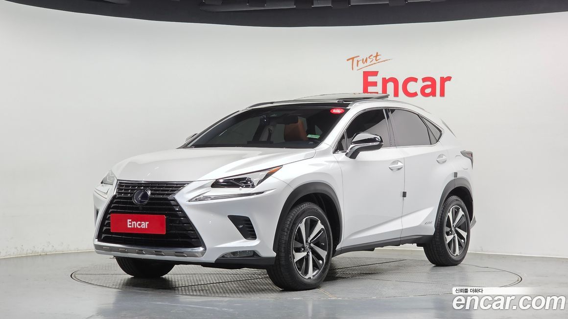 Lexus NX 2019