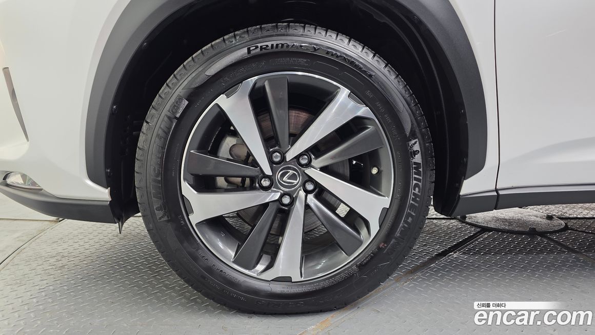 Lexus NX 2019
