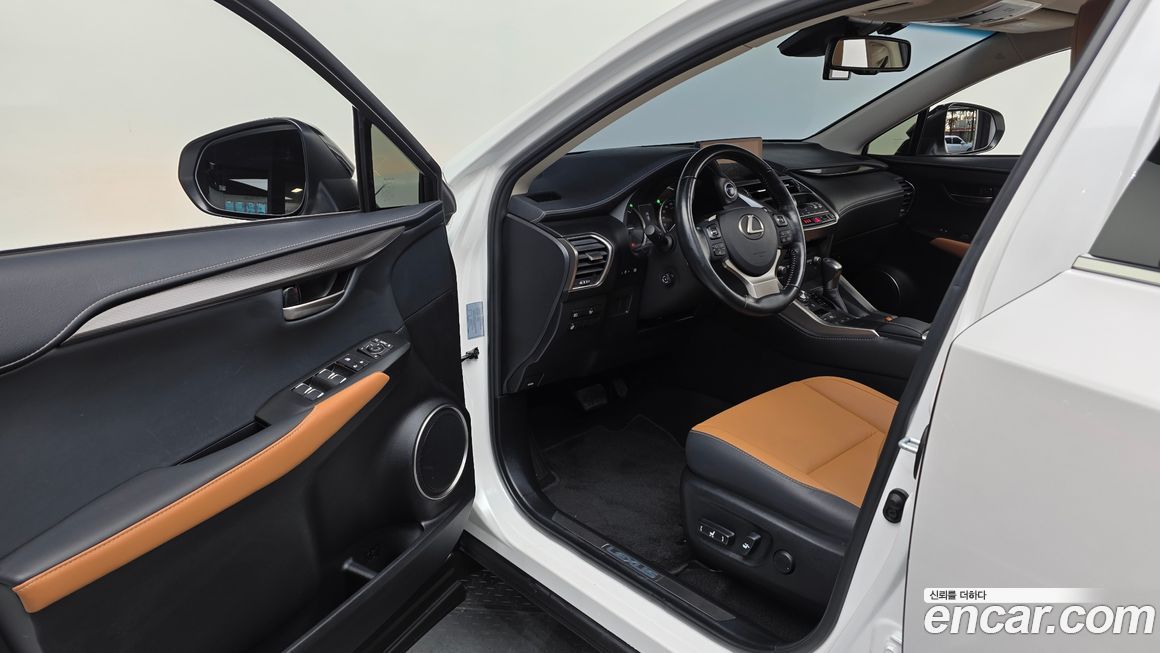 Lexus NX 2019