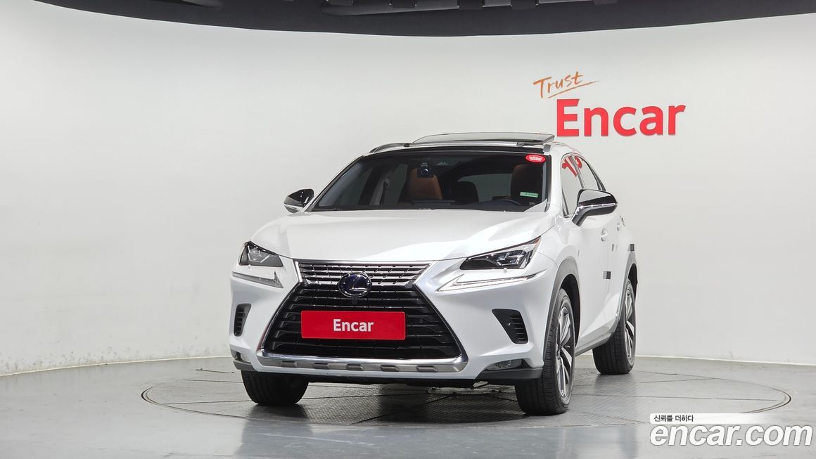 Lexus NX 2019