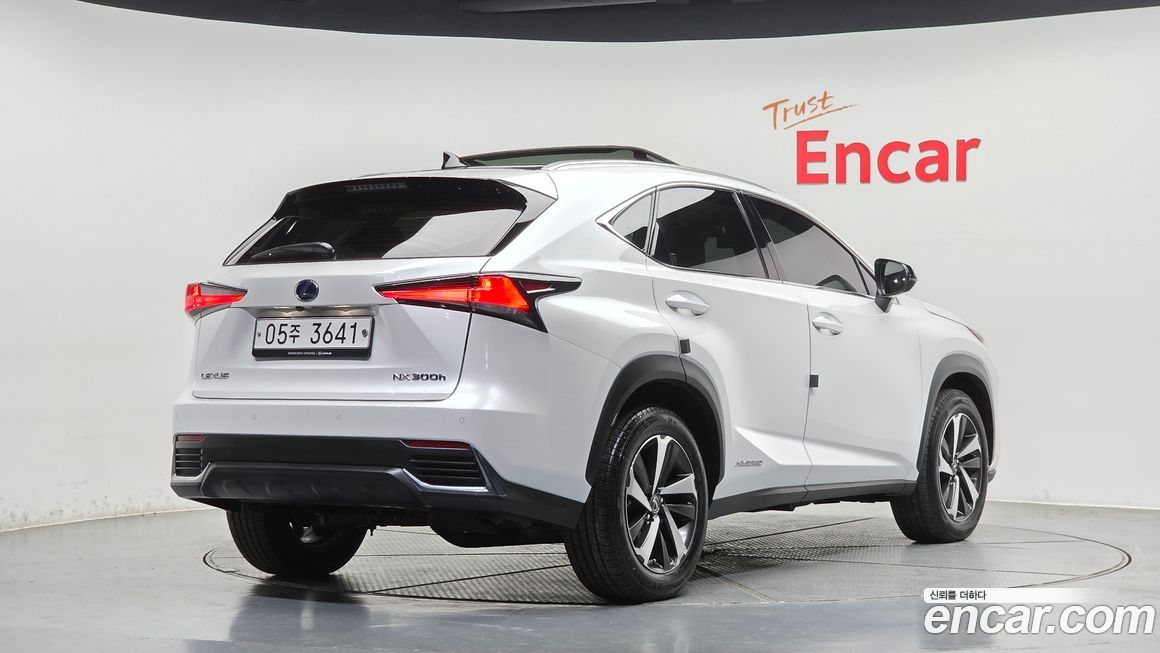 Lexus NX 2019