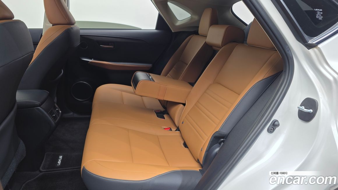 Lexus NX 2019