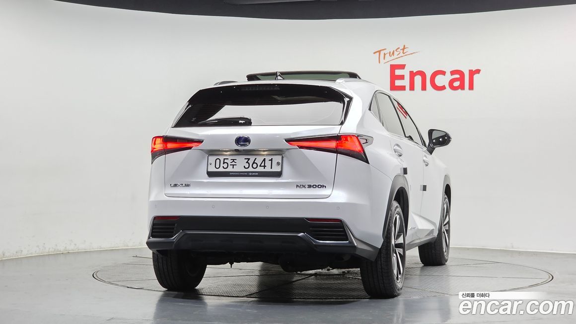 Lexus NX 2019