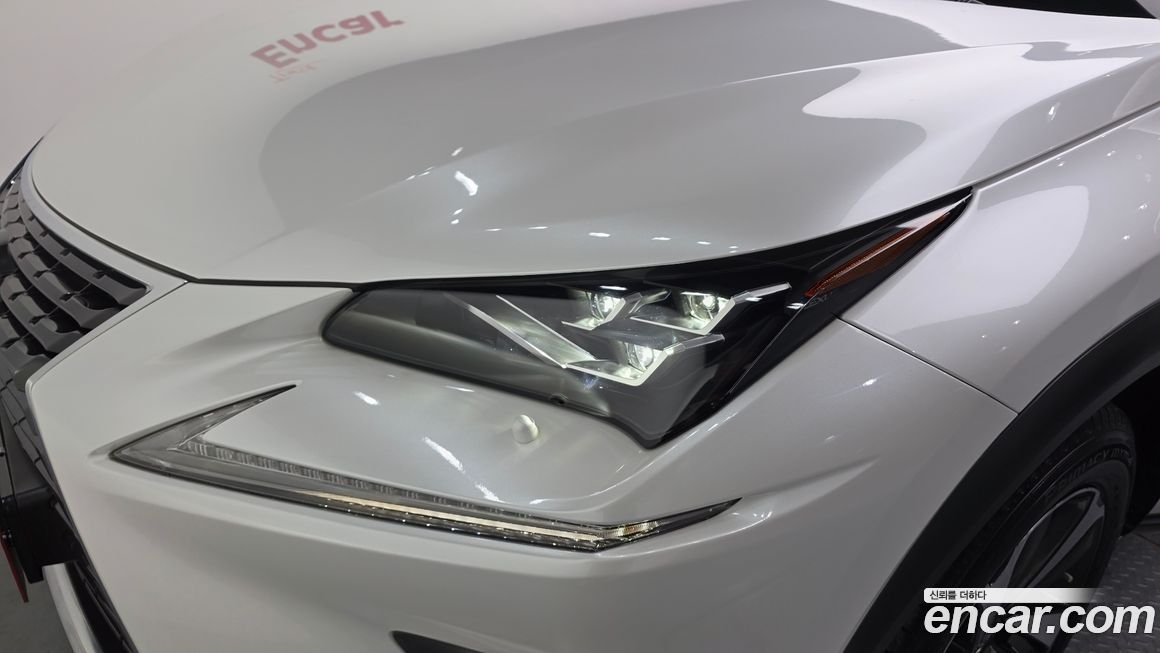 Lexus NX 2019