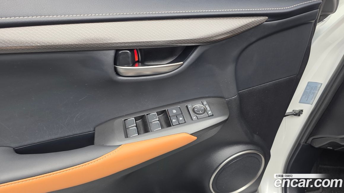 Lexus NX 2019