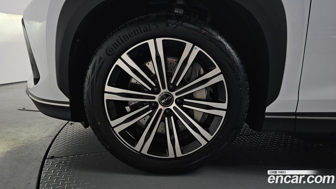 BYD Sealion 7  2026