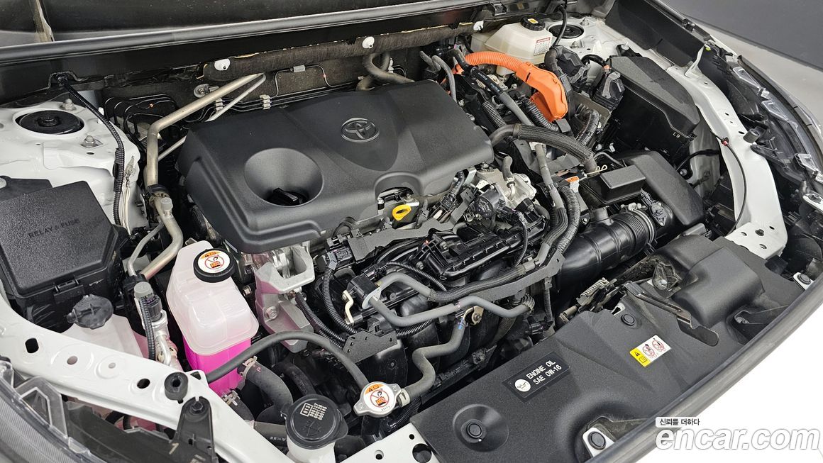 Toyota RAV4 2024