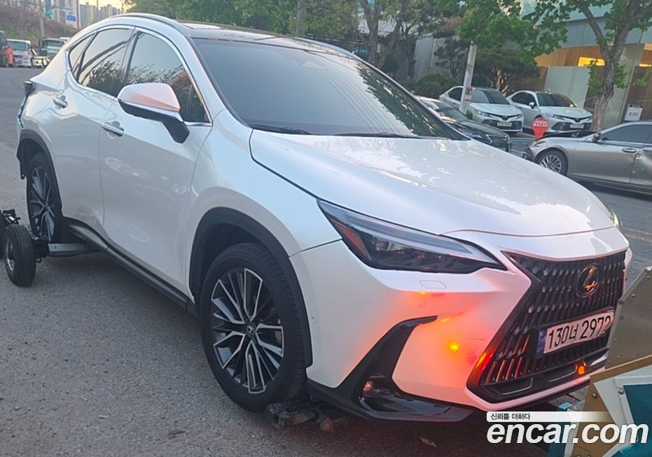 Lexus NX 2024