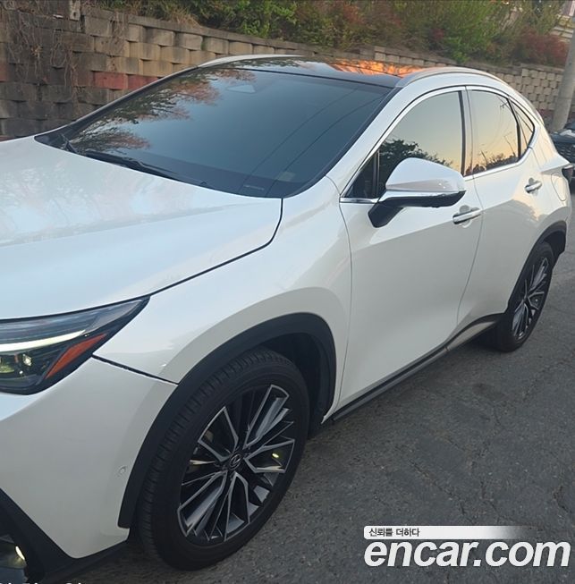 Lexus NX 2024