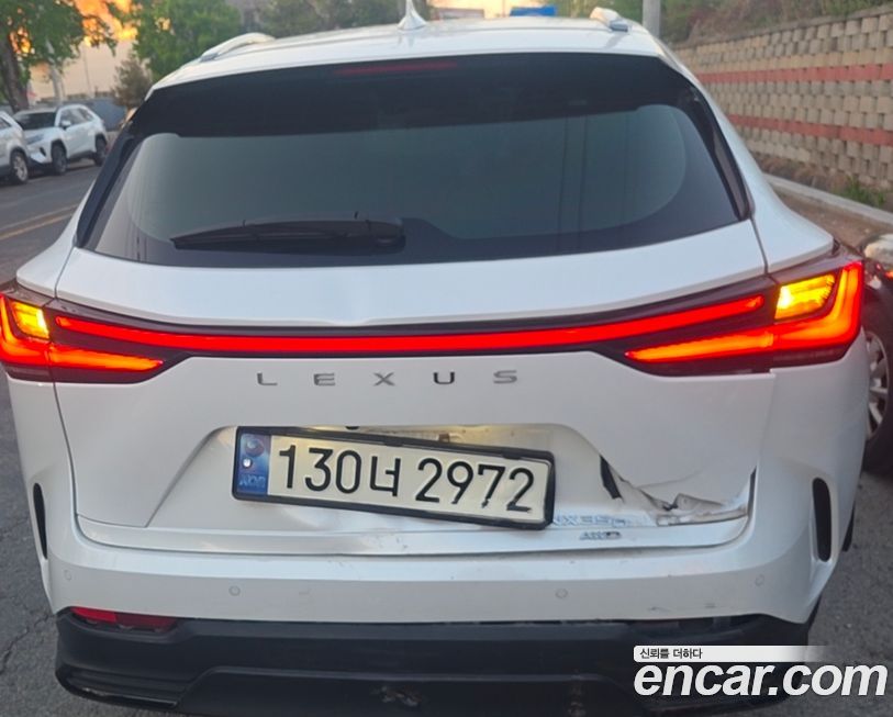 Lexus NX 2024
