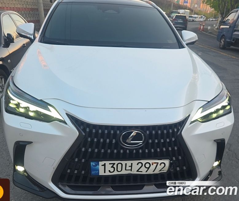 Lexus NX 2024