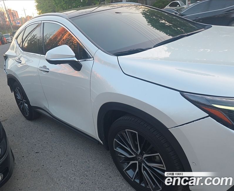 Lexus NX 2024